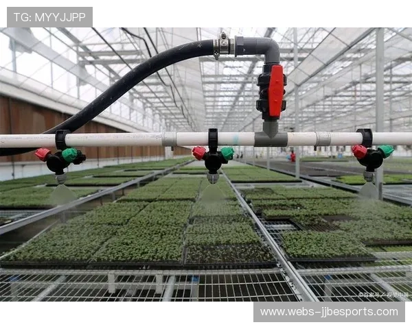 智能灌溉系统推广应用，场馆绿化维护成本下降